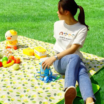 China Portable Outdoor Picnic Mat Foldable Camping Waterproof Mat Thickened Oxford Cloth Camping Meadow Spring Visiting Floor Mat Off Stock for sale