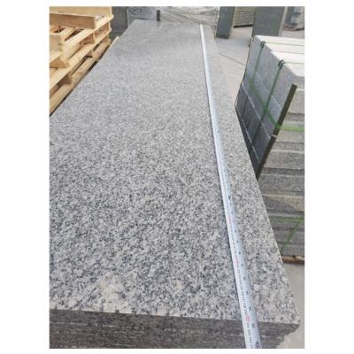 China China Modern White Gray Granite G603 Large Slabs for sale