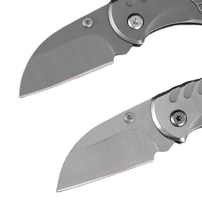 China Good Reputation Non-variable GS Certified Folding Knife Mini Lightweight Folding Knife for sale