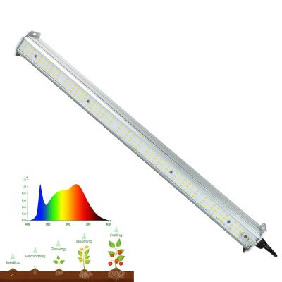 China Double Sided Light Vertical Farm High Power Horticultural Led Lighting Plant Grow Light Bar for sale