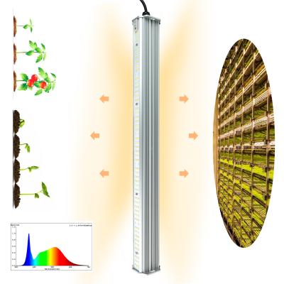 China Double Sided Light Waterproof Hydroponics Plant LED Strip Grow Light Bar For Greenhouse Plant Grow Shelf for sale