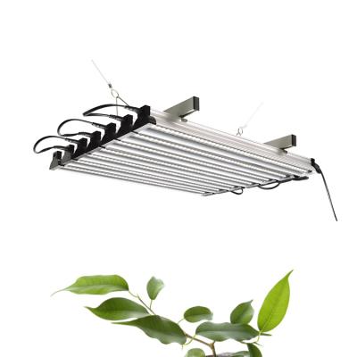 China Seed Starting EDKFARM High Power Customized Full Spectrum Indoor Led Growing Lights for sale