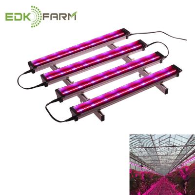 China Seed Starting EDK LED Plant High Power Indoor Plants Full Spectrum Light Glow Lamp for sale