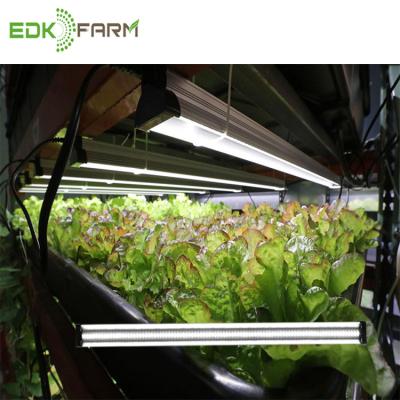 China Seed starting EDK growbox horticultural products grow kits vertical garden systems plant growth lamp for sale