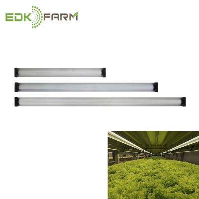 China Energy Efficient Strawberry Growing Systems 3ft Light Home Bar Strip Lamp Led Growlight Flower Push for sale