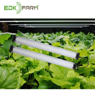 China Seed Starting EDKIII Flower Farm Plant Growth Lamp Greenhouse Tomato Led Horticulture Lights for sale