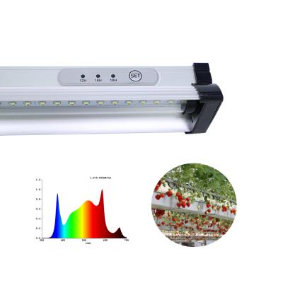 China VEG+BLOOM Growing Full Spectrum Led Grow Light Timer Grow Lamp For Strawberry for sale