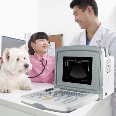 China Veterinary Ultimate Compact and NEW Lightweight Design for VET Instant Handheld Veterinary Handheld Veterinary Head Machine Veterinary Transfer SINOHERO S880 Ultrasound Equipment Veterinary Scanner for sale