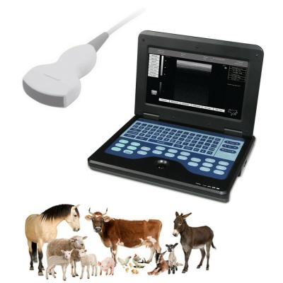 China VET B Ultrasound Professional Ultrasound Detector Pregnancy Tester CMS6000P2-VET Ultrasound Medical Instruments for Veterinary Ultrasound for sale