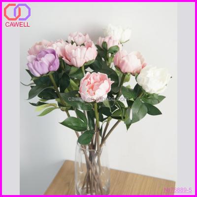 China Wholesale Preserved Natural Peony Real Peony Flower Wholesale Preserved Flower for sale