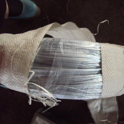 China Building Material Galvanized Wire Binding Wire Galvanized 0.9mm Iron Steel Wire for sale