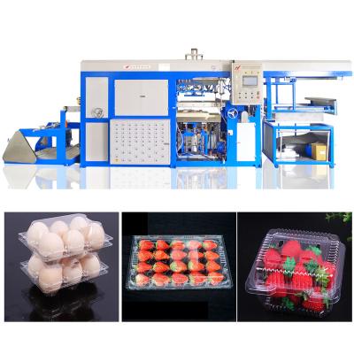 China Hotels Plastic Thermoforming Vacuum Forming / Fruit Egg Carton Molding Tray Making Machine for sale