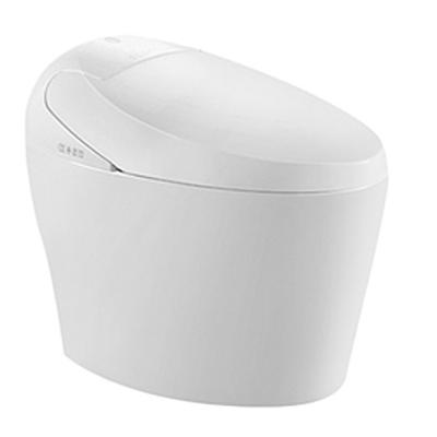 China Automatic Operation 762 Smart Toilet Hide Water Tank Automatic Smart Toilet for sale