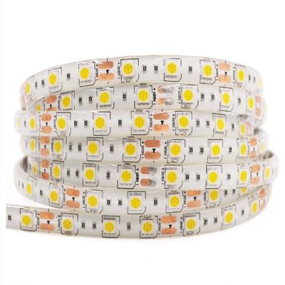 China Factory direct salecolorful IP65 SMD5050 60LED 5m AC/DC12V LANDSCAPE waterproof flexible RGB led strip lights for sale