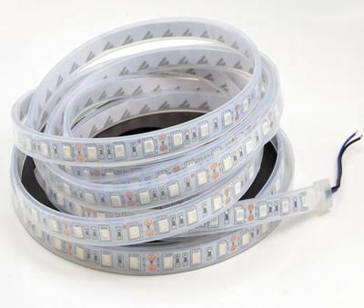 China LANDSCAPE 2021 Hot Factory Sale IP68 RGB Underwater Flexibility Waterproof Light With DC12V Led Strip Light 5m 5050 for sale