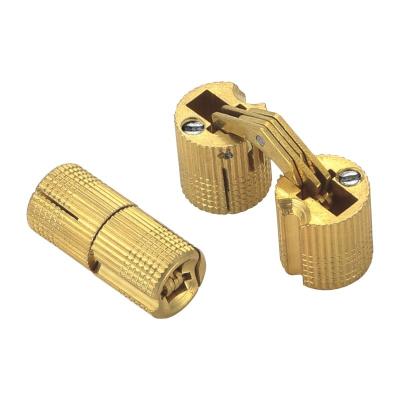 China Use For Glass Door 180 Degree Invisible Mini Cylinder Brass Hinges for sale