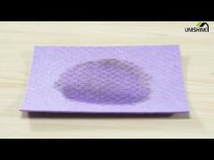 Dry Wet Use Wipe Cellulose Dishcloths Chemical Resistance For Kitchen