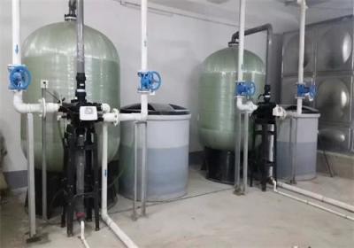 China Efficiency Single Tank Fully Automatic Water Softener With Stainless Steel Components for sale