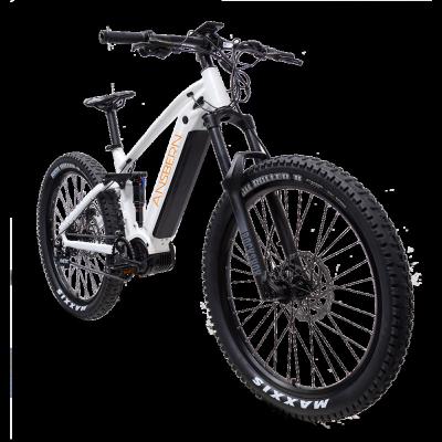 China Full Alloy 1000W Suspension Aluminum Mountain Ebike/Emtb for sale