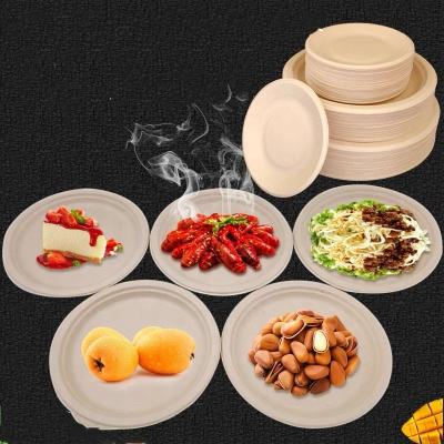 China Square Color Recyclable Round White Brown Biodegradable Cake Bagasse Paper Plates for sale