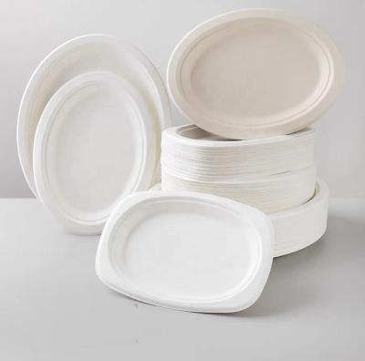 China Food Grade White Paper Recyclable Disposable Tableware Degradable Disposable Paper Plate Environmental for sale