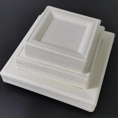 China Sugar Cane Bamboo Paper Dish For Recyclable Disposable White Party Dishes Square Paper Plate for sale