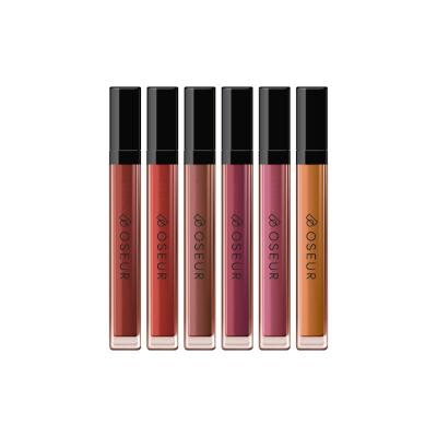 China Private Label Makeup Lipstick Liquid Lip Gloss Waterproof Long Lasting Moisture Proof Cosmetic for sale