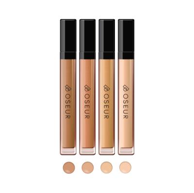 China Customized Colors Private Label Makeup Liquid Concealer Waterproof Long Lasting Liquid Concealer Pen for sale