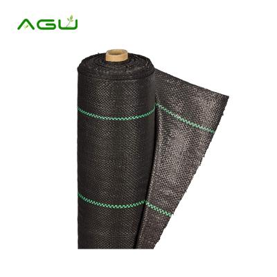 China Garden Used Agricultural Plastic PP Woven Weed Mat Fabric Waterproof Ground Cover for sale