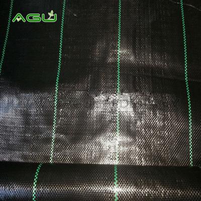 China 100% pp material china black woven anti weed pp woven resistant weed barrier fabric for sale