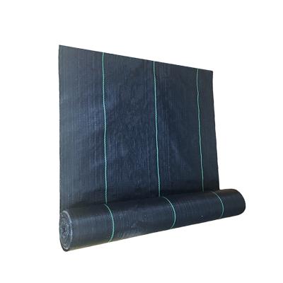 China Garden Used China Black Woven Anti Grass PP Woven Resistant Weed Barrier Fabric for sale