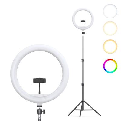 China Telescoping RGB 12-Inch Large Overhead Make Up Fill Ring Lamp Led Selfie Ring Light With Tripod Stand for sale