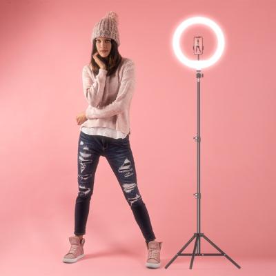 China 12 Inch PORTABLE Luxury Extendable Makeup Fill Ring Lamp 360 Remote Controller Led Selfie Ring Light With Iron Tripod Stand for sale