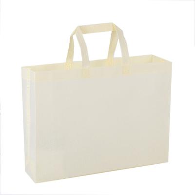 China Amazon Eco-friendly Hot Sale Cheap Favorable Promotional Custom Logo Printing Nonwoven Bag for sale