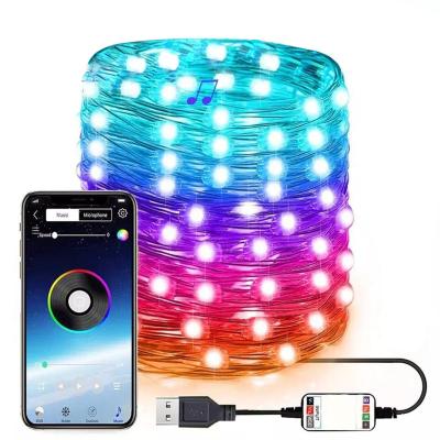 China Garden APP Control Srting Lights Outdoor LED String Light Up USB Powered Fairy Garden Lamp For Holiday Festival Party Christmas Decor for sale