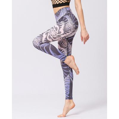 China SAUANN China Breathable OEM Factory Workout Clothes Yoga Pants Gaiters Plus Size Yoga Gaiters for sale