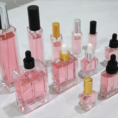 China 50ml Square Glass Dropper Bottles Empty Eco for sale