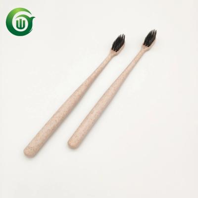 China Disposable Eco-friendly Biodegradable Wheat Straw Toothbrush With Bamboo Charcoal for sale