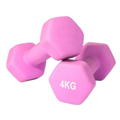 China Other Great Value For Money 1lb Muscle Gain Plastic Arm Dumbbell for sale