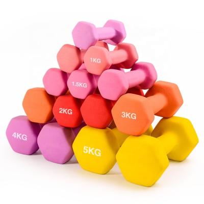 China Durable And Comfortable Hex Colorful Gym Vinyl Coated Plastic Dip Dumbbell for sale