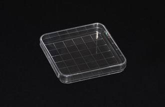 China Plastic Petri Dish 100X15mm square shape for sale