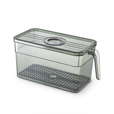 China Viable Refrigerator Storage Box With Handle Rectangular Plastic Transparent Pet Kitchen Fruit Storage Box for sale