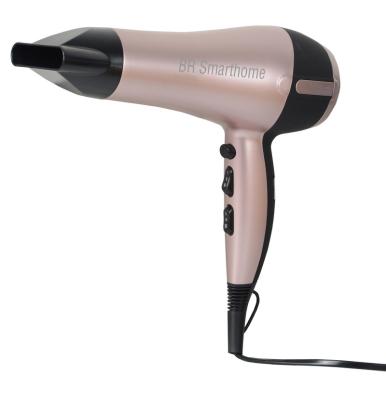 China The Other Salon 2200W Professional Hair Dryer for sale