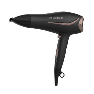 China Foldable Professional Foldable Handle Travel Hair Dryer for sale