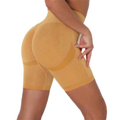 China New Arrival Spandex Stretch Gaiters Women Breathable High Soft Compression Seamless Running Yoga Wear Active Shorts for sale