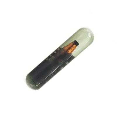 China Empty Megamos ID13 Chip Original 96 BIT (Glass Tube) (TP03) for sale