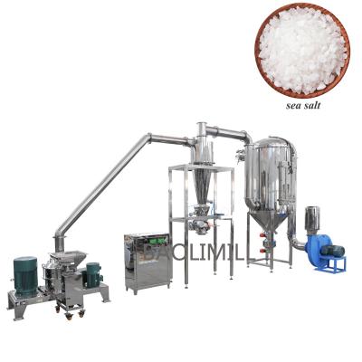 China Medicine Processing Sugar Powder Pulverizer Price Food Pulverizer Machine For Icing Sugar Powder for sale