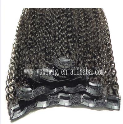 China Best Quality Curly Curly Straight Hair Clip In Hair Extension Kinky Curly Hair Wig for sale