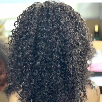 China Mongolian Kinky Curly Hair Good Quality Curly Human Remy Wig for sale