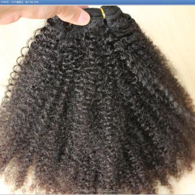 China Hot Selling Factory Wholesale Various 3c 4a Afro Wave Hair Curly Hair for sale